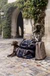 Torba podróżna Blaser Duffle Brown 