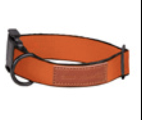 Obroża dla psa SH pomarańczowa