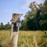 Fotopułapka Zeiss Secacam 1 - 8