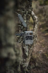 Fotopułapka Zeiss Secacam 3 - 5