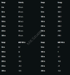 RWS 9,3x74 R 16,2 g HIT ( 20 sztuk) - 2